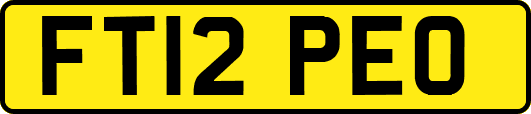 FT12PEO