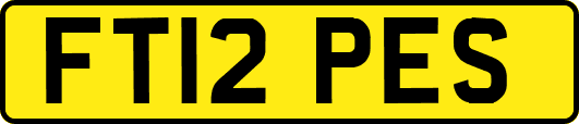 FT12PES