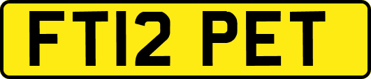 FT12PET