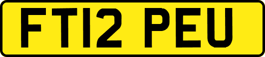 FT12PEU