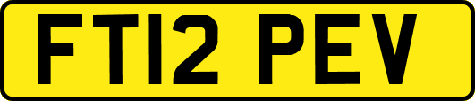 FT12PEV