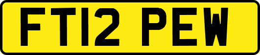 FT12PEW