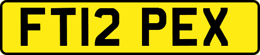 FT12PEX