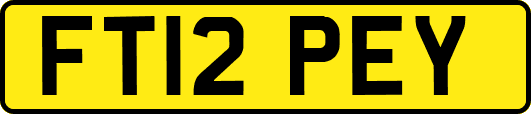FT12PEY