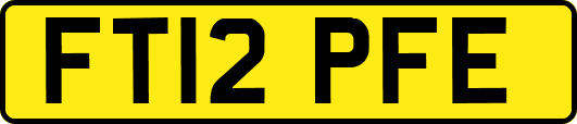 FT12PFE