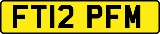 FT12PFM