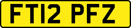 FT12PFZ