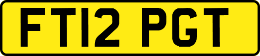 FT12PGT