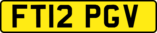 FT12PGV