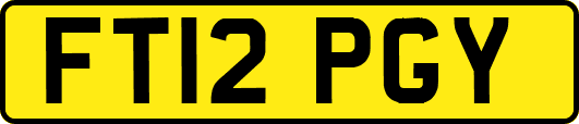 FT12PGY