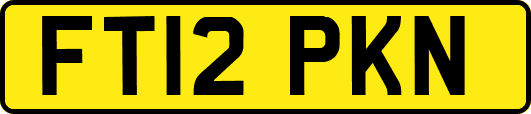 FT12PKN