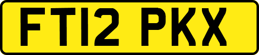FT12PKX