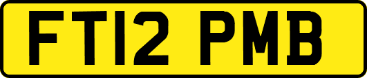 FT12PMB