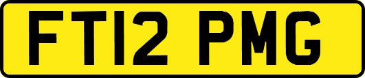 FT12PMG