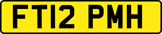 FT12PMH