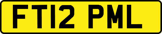 FT12PML