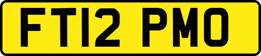 FT12PMO
