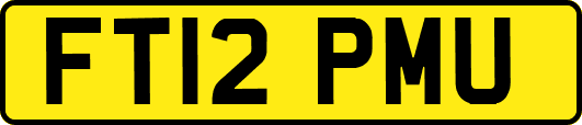 FT12PMU