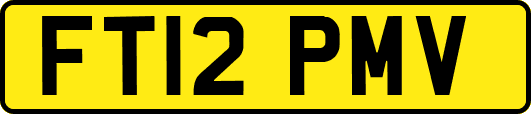 FT12PMV