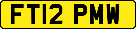 FT12PMW