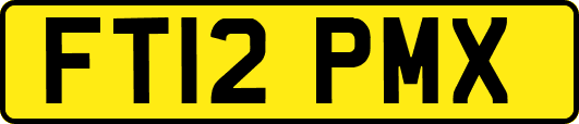 FT12PMX