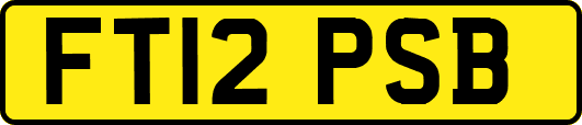 FT12PSB