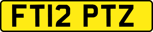 FT12PTZ
