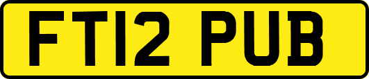 FT12PUB