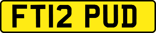 FT12PUD