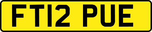 FT12PUE