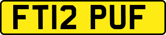 FT12PUF