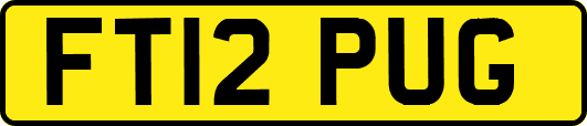 FT12PUG