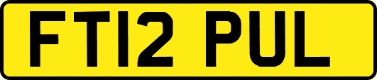 FT12PUL
