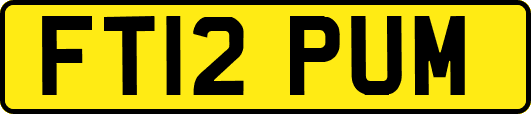 FT12PUM