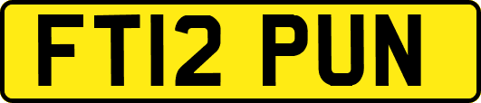 FT12PUN
