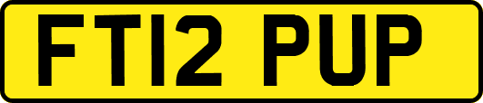 FT12PUP