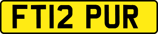 FT12PUR