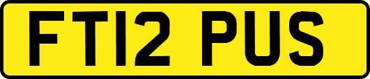 FT12PUS