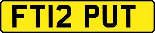 FT12PUT