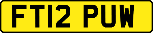 FT12PUW