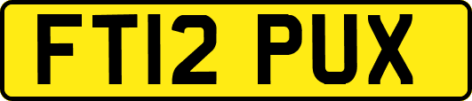 FT12PUX