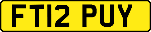 FT12PUY