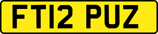 FT12PUZ