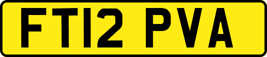 FT12PVA