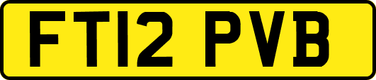 FT12PVB