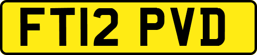 FT12PVD