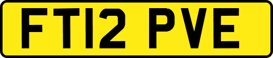 FT12PVE