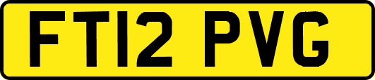 FT12PVG