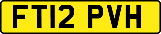 FT12PVH