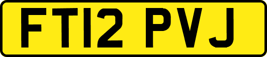 FT12PVJ